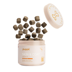 Skin & Coat Treats for Dogs by Pupps – image 1