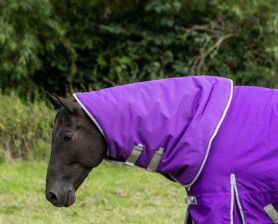50g Purple Turnout Rug Neck Cover - Wellbeing Pets