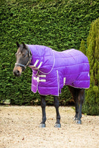400g Detachable Neck Stable Rug - Purple - image 2 - Wellbeing Pets