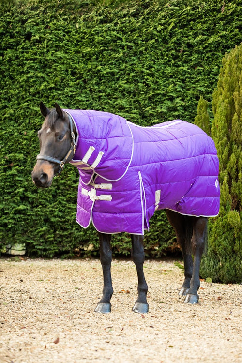 400g Detachable Neck Stable Rug - Purple - image 2 - Wellbeing Pets