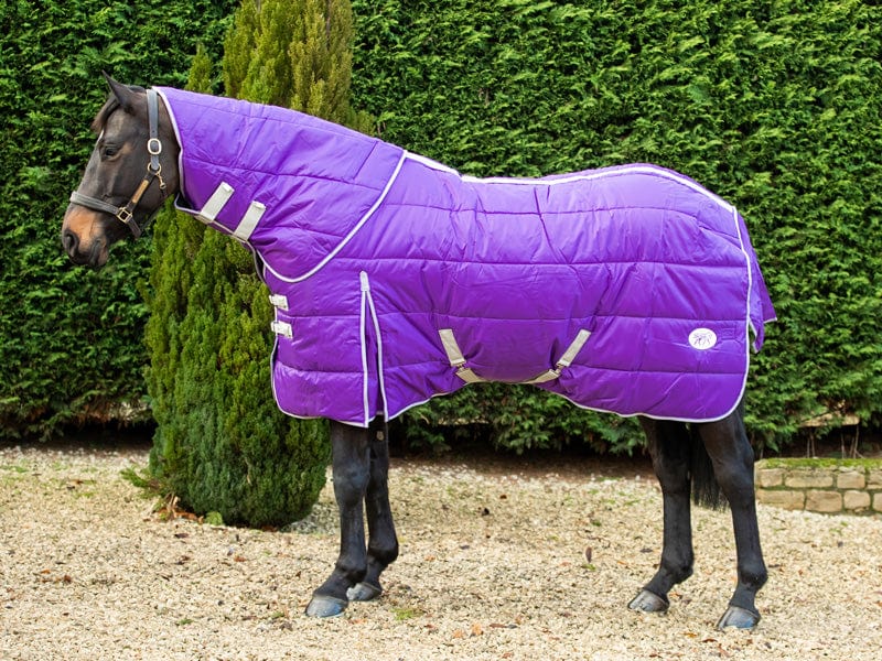 400g Detachable Neck Stable Rug - Purple - Wellbeing Pets