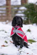 Classic Waterproof Dog Coat 240g - Red - image 2 - Wellbeing Pets