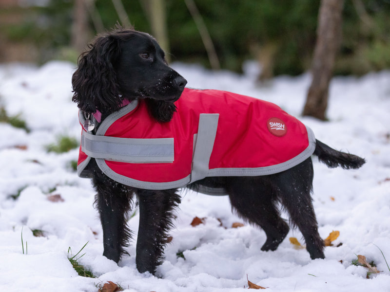 Classic Waterproof Dog Coat 240g - Red - Wellbeing Pets