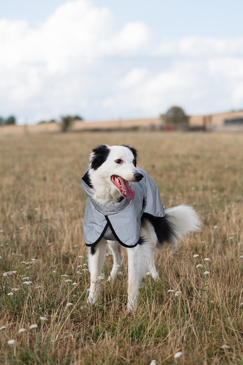 Luxe Waterproof Dog Coat 250g - Reflective Silver - image 3 - Wellbeing Pets