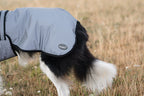 Luxe Waterproof Dog Coat 250g - Reflective Silver - image 5 - Wellbeing Pets