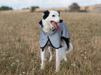 Luxe Waterproof Dog Coat 0g - Reflective Silver - image 3 - Wellbeing Pets