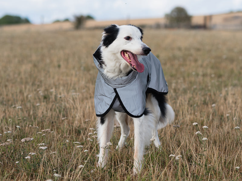 Luxe Waterproof Dog Coat 0g - Reflective Silver - image 3 - Wellbeing Pets