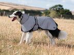 Luxe Waterproof Dog Coat 0g - Reflective Silver - Wellbeing Pets