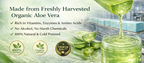 Aloe Vera Gel 300g Jar – Face, Body & Hair | Ammuri