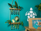Plant Propagation Gift Set #4