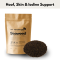 Seaweed for Horses | Mineral & Trace Element Support - Wellbeing Pets