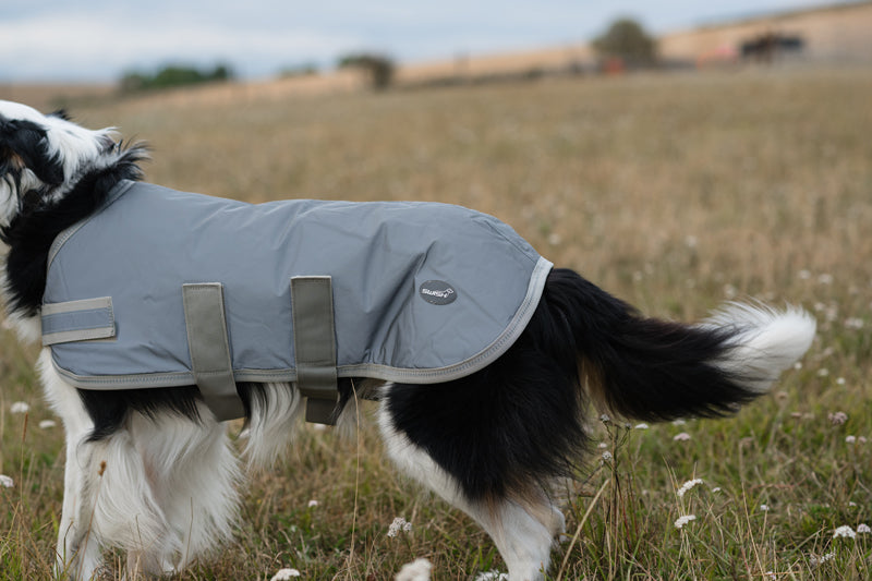 Classic Waterproof Dog Coat 150g - Reflective Silver - image 4 - Wellbeing Pets