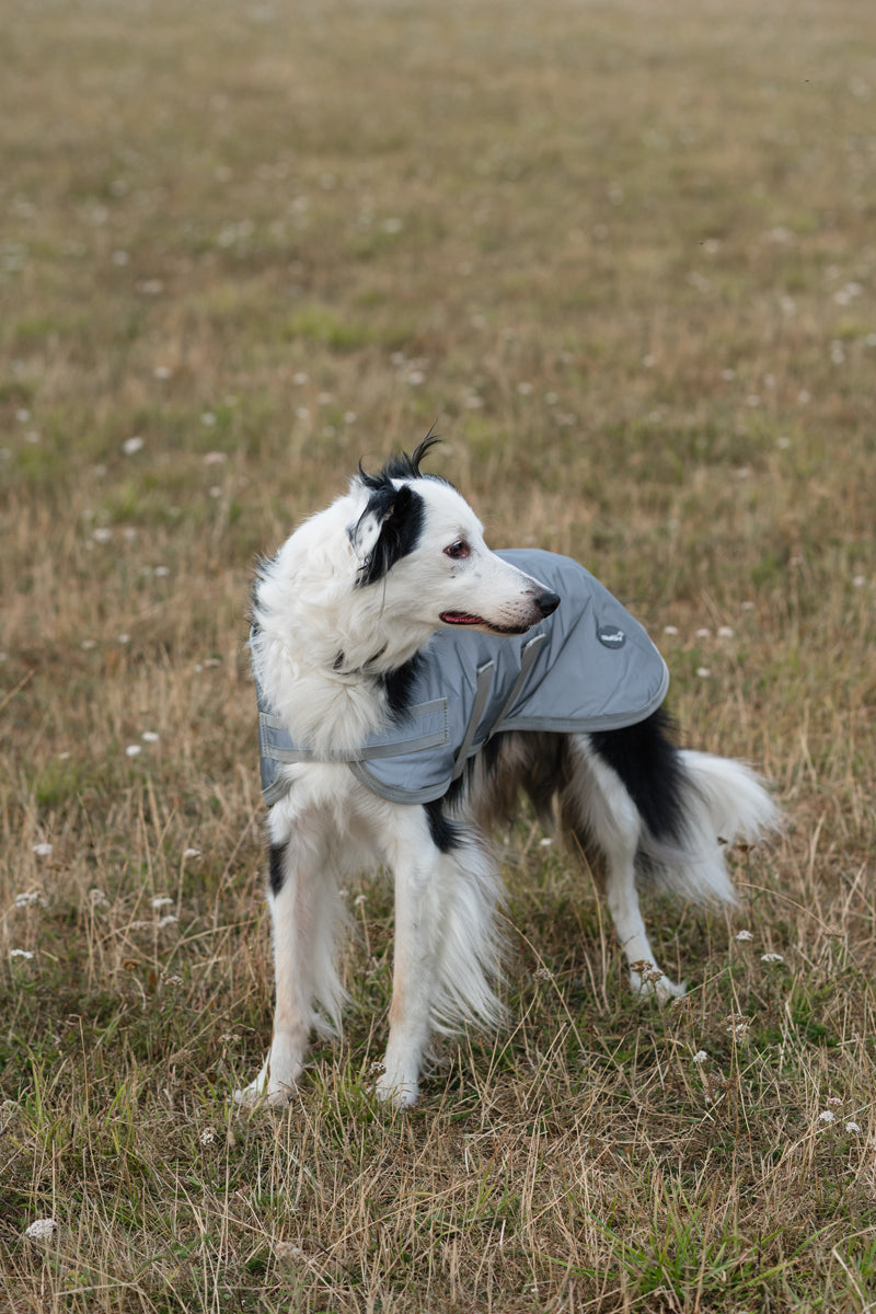 Classic Waterproof Dog Coat 150g - Reflective Silver - image 3 - Wellbeing Pets