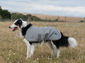 Classic Waterproof Dog Coat 150g - Reflective Silver - Wellbeing Pets