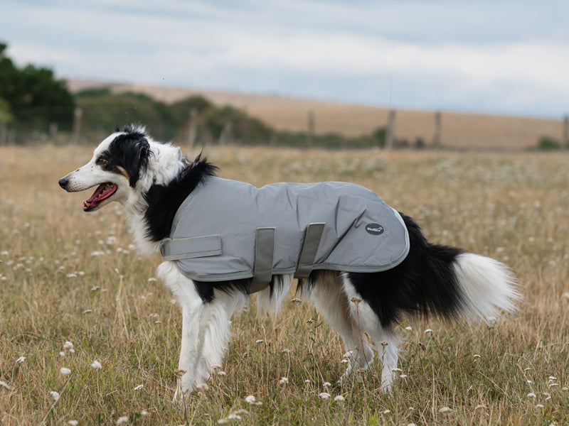 Classic Waterproof Dog Coat 150g - Reflective Silver - Wellbeing Pets