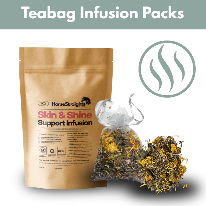 Skin & Shine Support Infusion for Horses