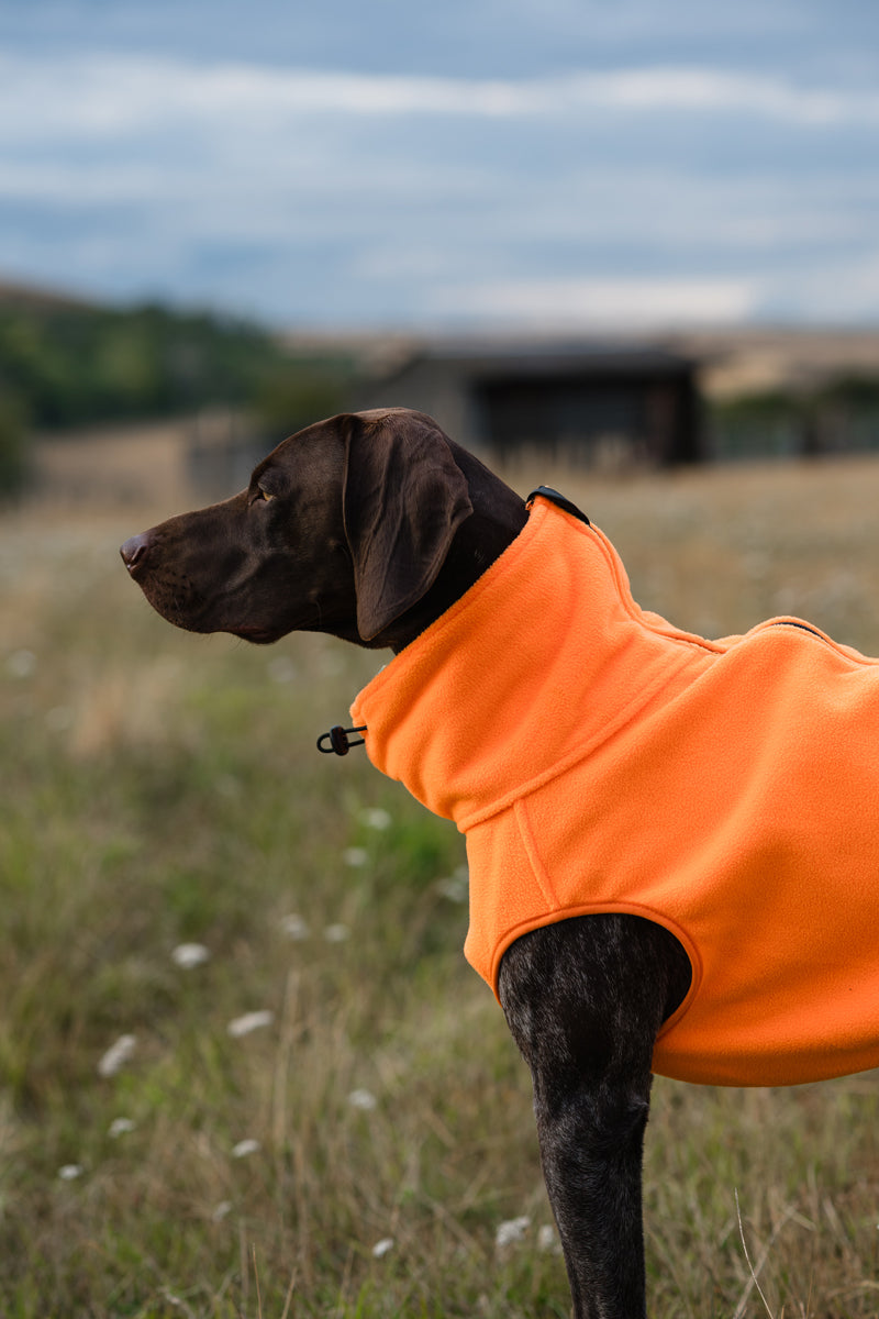 Fleece Dog Coat - Orange - image 3 - Wellbeing Pets