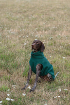 Fleece Dog Coat - Hunter Green - image 2 - Wellbeing Pets
