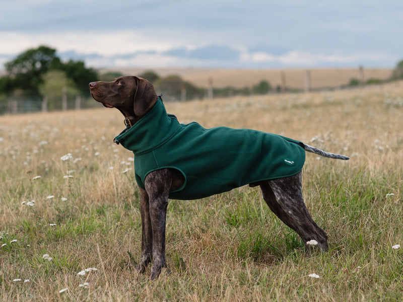 Fleece Dog Coat - Hunter Green - Wellbeing Pets