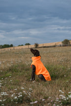 Fleece Dog Coat - Orange - image 6 - Wellbeing Pets