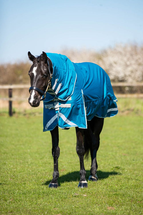 300g Turnout Rug With Detachable Neck - Turquoise - image 2 - Wellbeing Pets