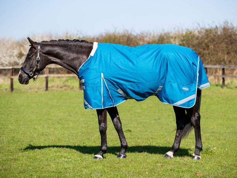 300g Turnout Rug With Detachable Neck - Turquoise - image 3 - Wellbeing Pets