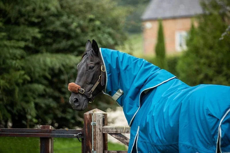 300g Turnout Rug With Detachable Neck - Turquoise - image 4 - Wellbeing Pets