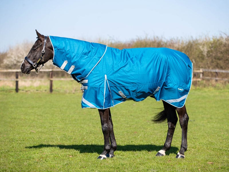 300g Turnout Rug With Detachable Neck - Turquoise - image 5 - Wellbeing Pets