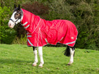 WIDE FIT 50g Detachable Neck Turnout Rug - Red - Wellbeing Pets