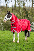WIDE FIT 50g Detachable Neck Turnout Rug - Red - image 2 - Wellbeing Pets