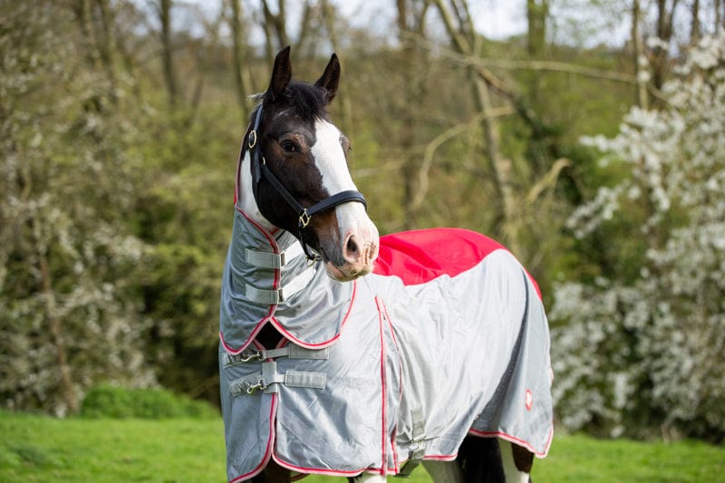 WIDE FIT Fly Turnout Combination Rug - Red (Mesh) - image 5 - Wellbeing Pets